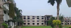 image
                    4
